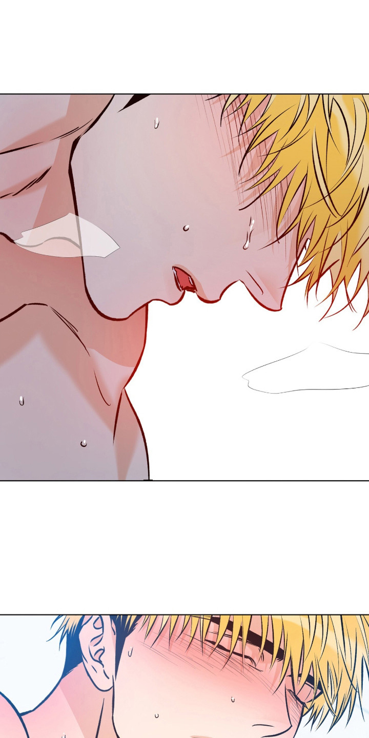 心动伪装漫画,第17章：别紧张3图