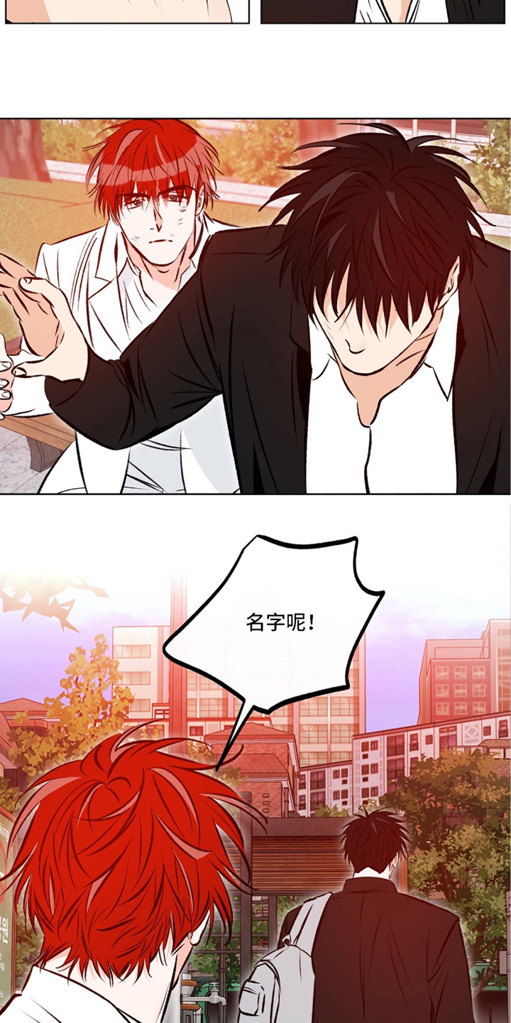 心动伪装漫画,第10章：打架1图