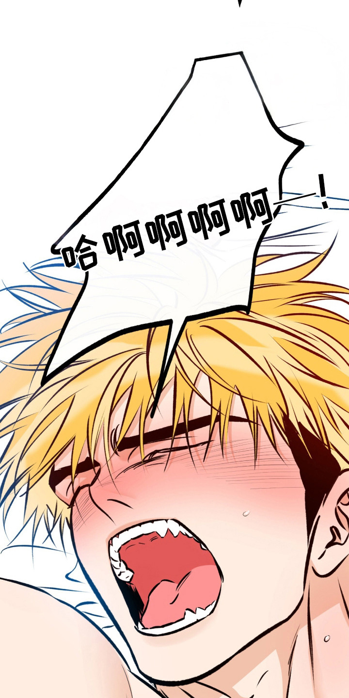 心动伪装漫画,第18章：废话少说4图