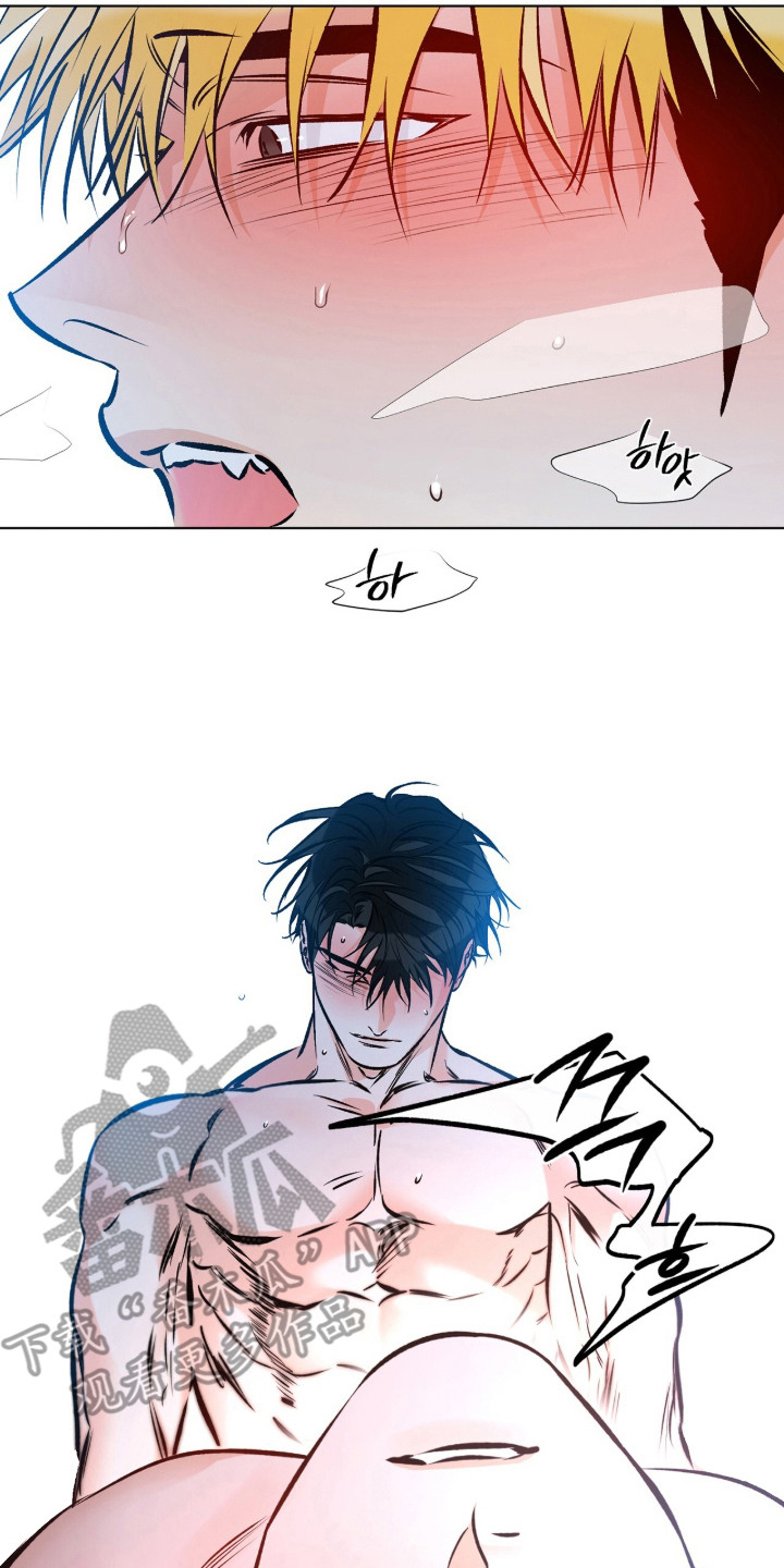 心动伪装漫画,第18章：废话少说4图