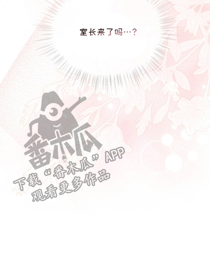 桃子味陷阱漫画,第19章：很上心5图