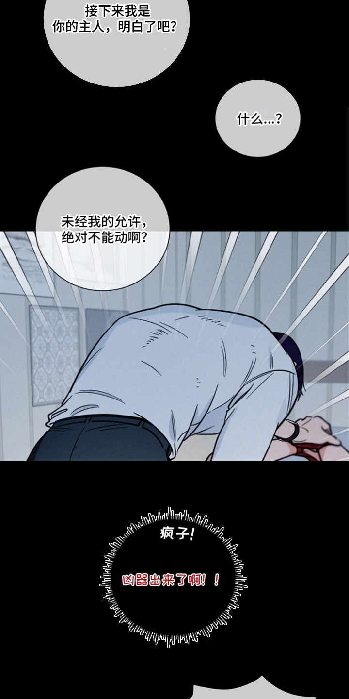 主播求放过漫画,第12章：睡不着1图
