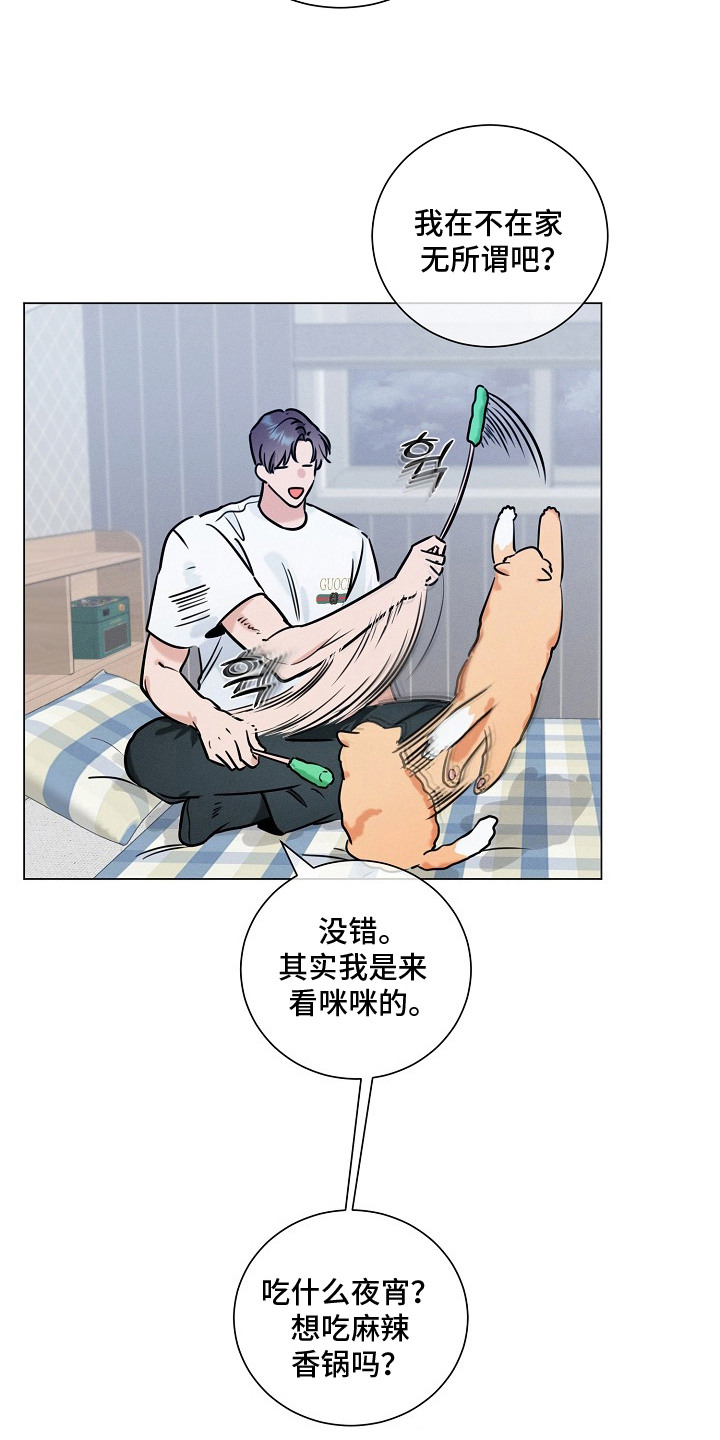 主播求放过漫画,第5章：创可贴2图