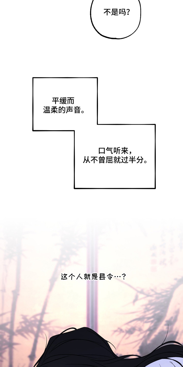 县令的私藏漫画,第2章：县令1图