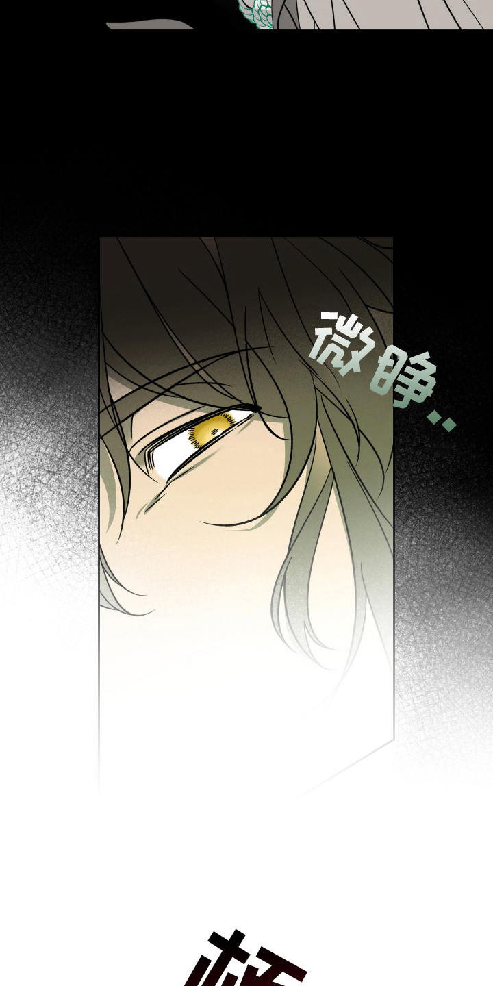 县令的私藏漫画,第2章：县令1图