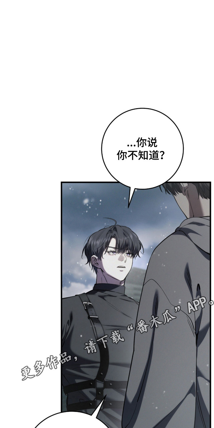 猎人回归漫画,第94章：【第二季】有过约定4图