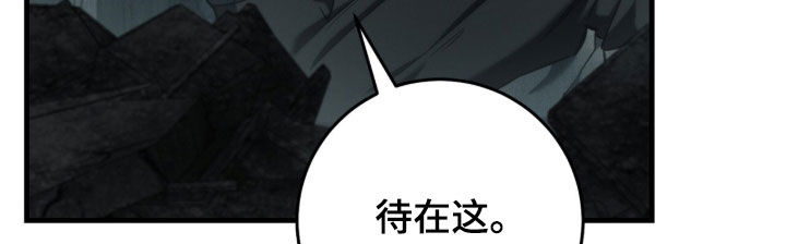 猎人回归漫画,第91章：【第二季】追问1图