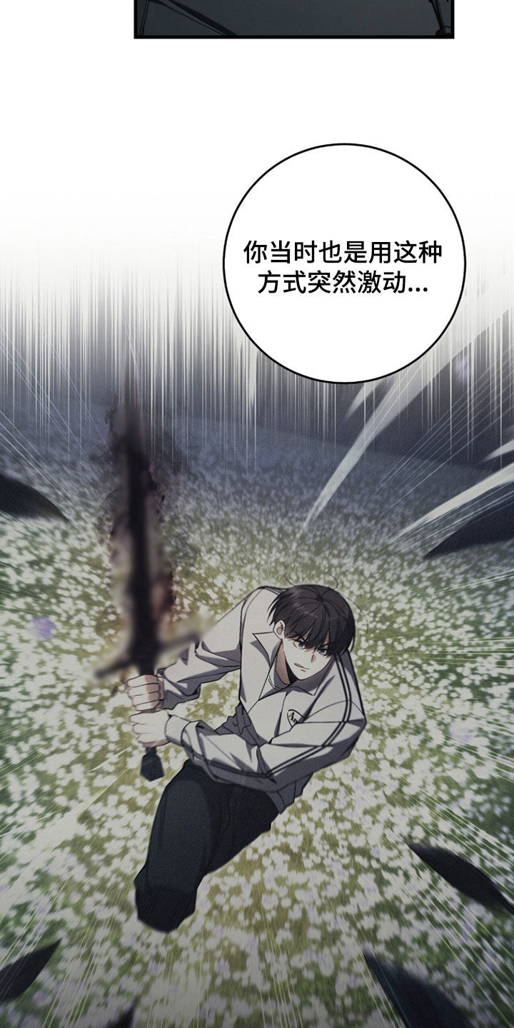 猎人追杀dream的视频漫画,第92章：【第二季】等级提升1图