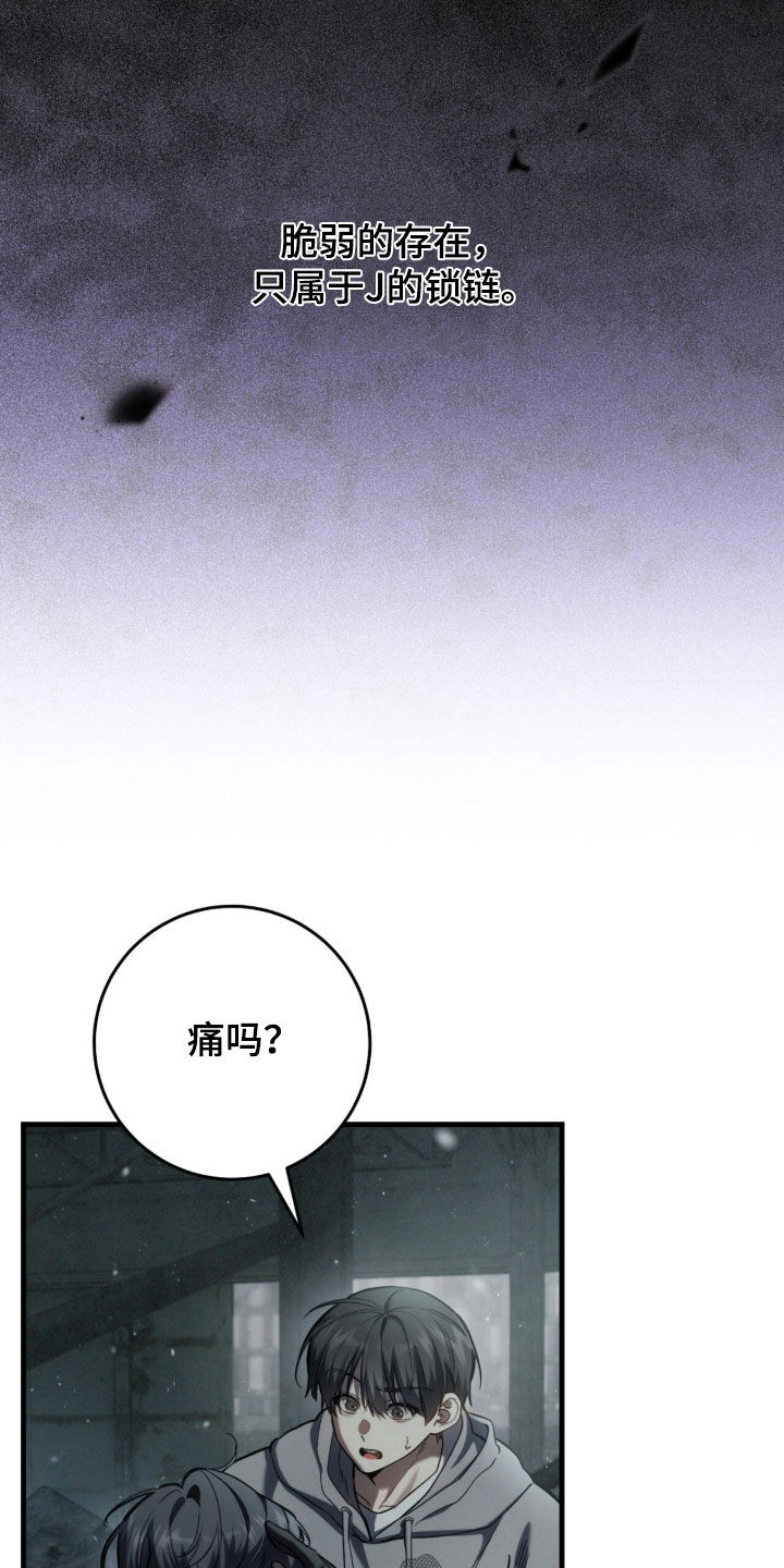 猎人回归漫画,第91章：【第二季】追问4图