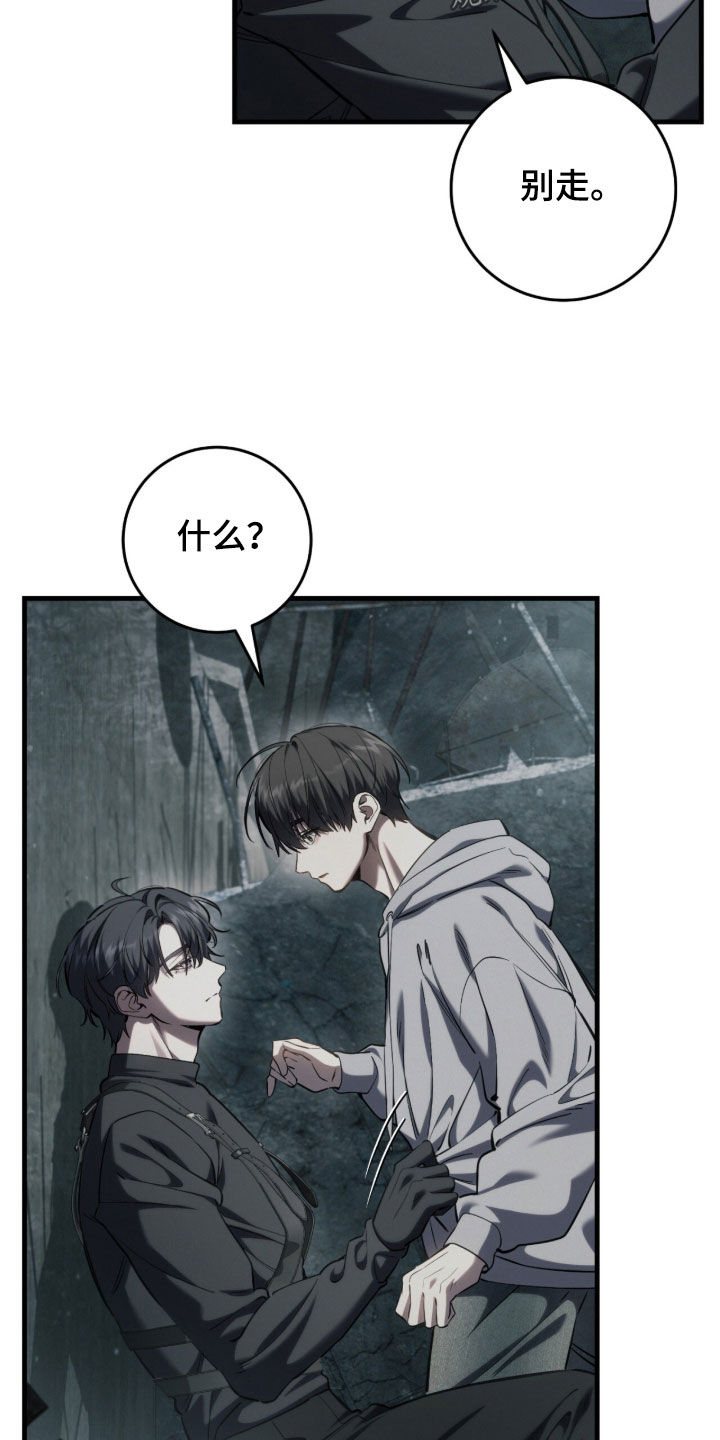 猎人回归漫画,第91章：【第二季】追问5图