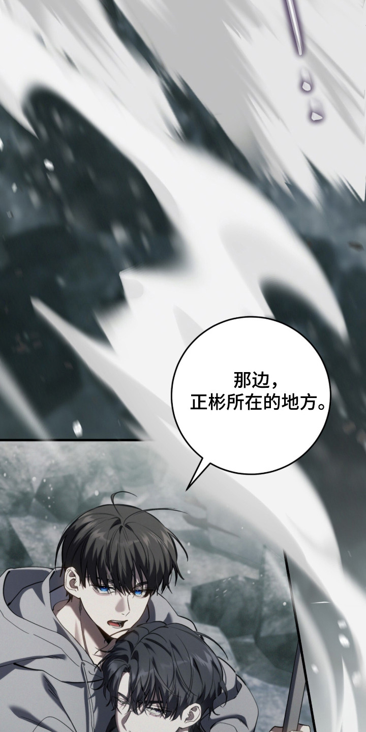 猎人回归漫画,第95章：【第二季】一次机会2图