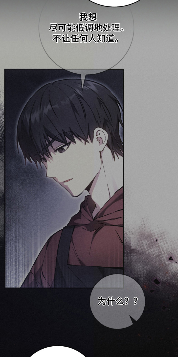 猎人回归漫画,第94章：【第二季】有过约定3图