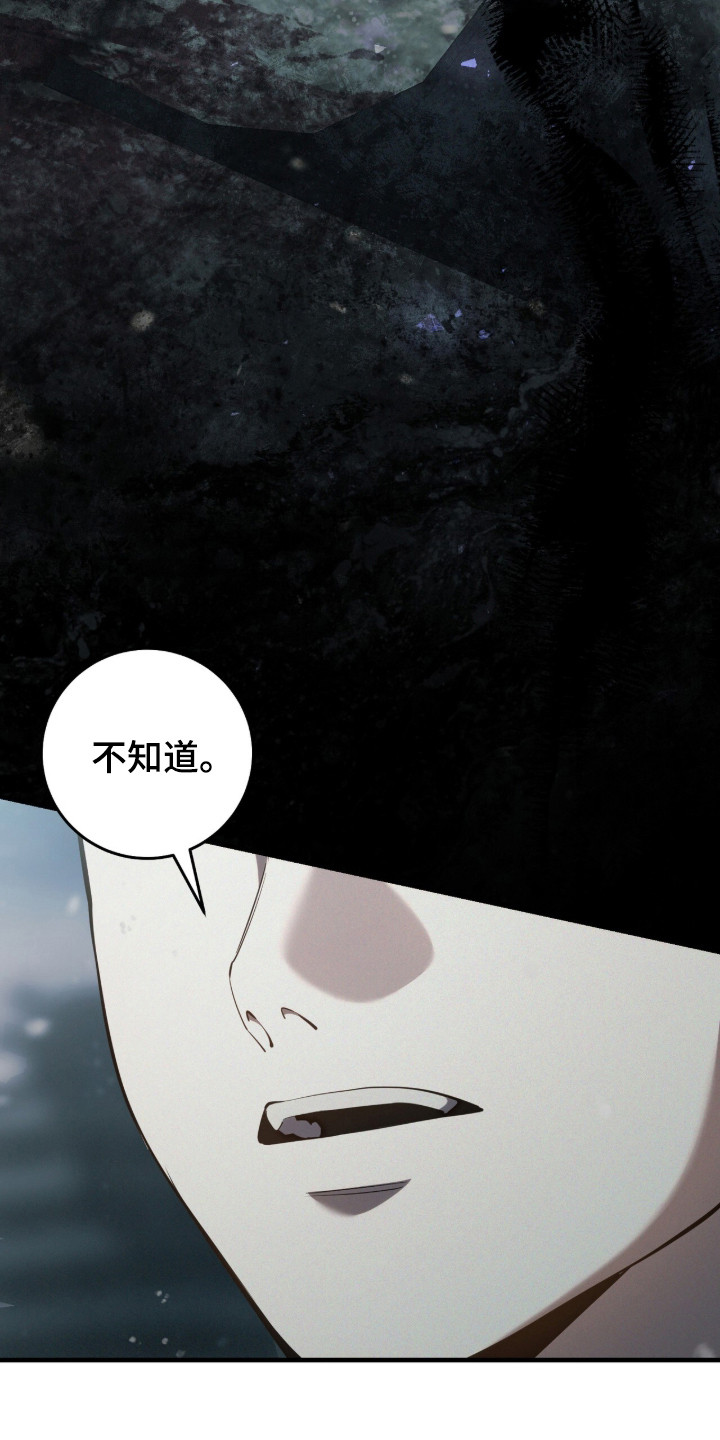 猎人回归漫画,第94章：【第二季】有过约定3图