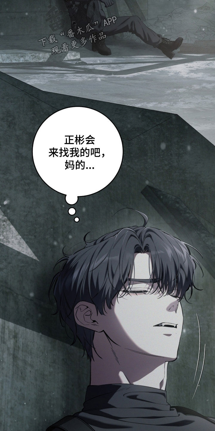 猎人回归漫画,第90章：【第二季】碰见5图