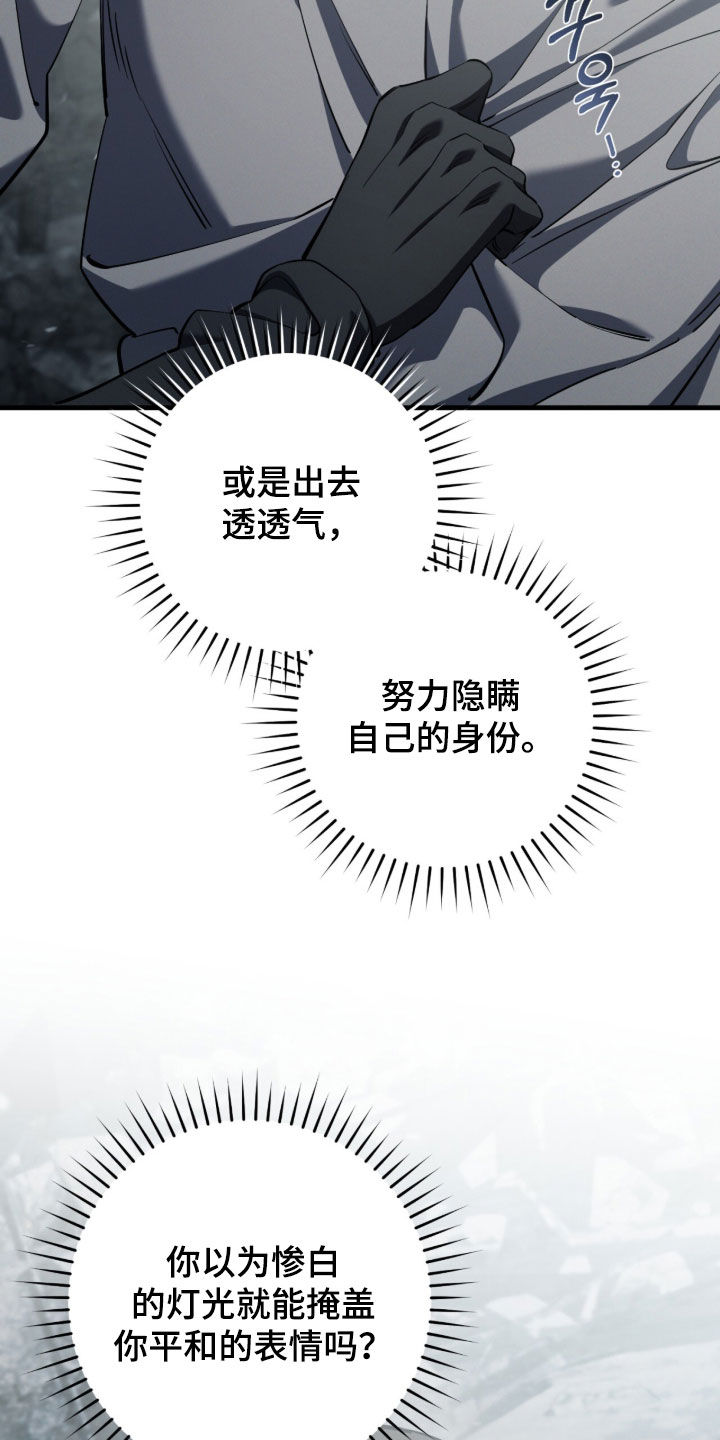 猎人回归漫画,第91章：【第二季】追问4图