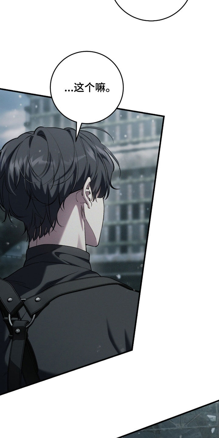 猎人回归的小说叫什么漫画,第93章：【第二季】巨掌2图