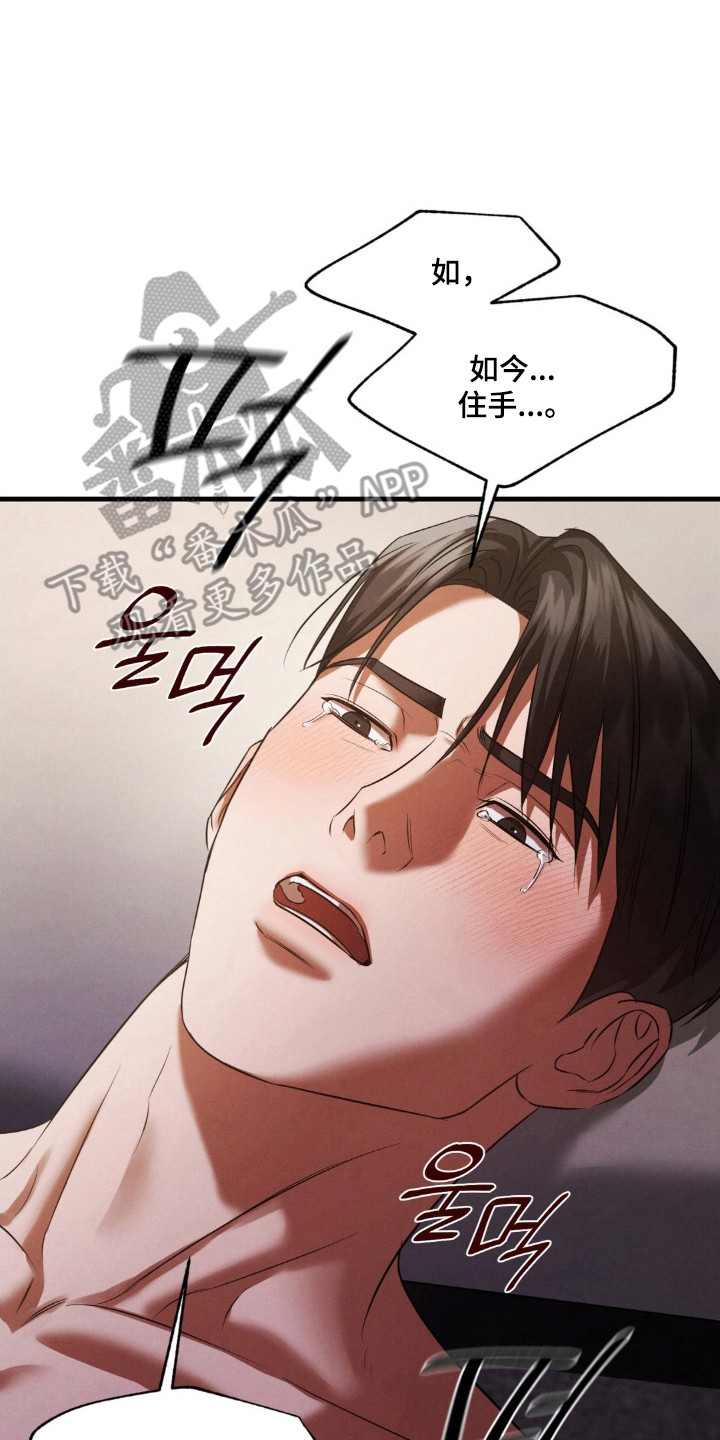 崩裂渡鸦强度分析漫画,第84章：他的狗5图