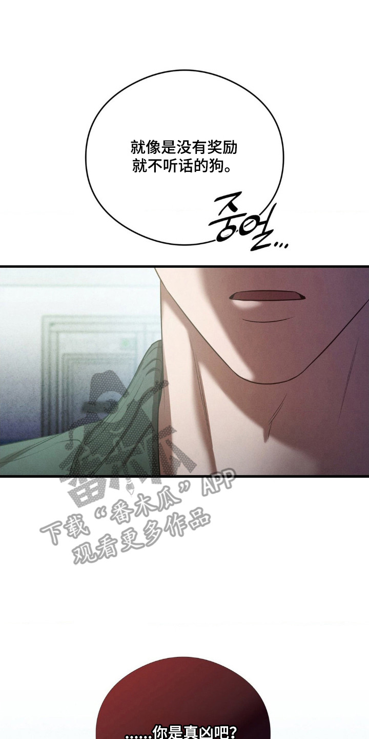 崩裂的紧身褡漫画,第79章：打探底细3图