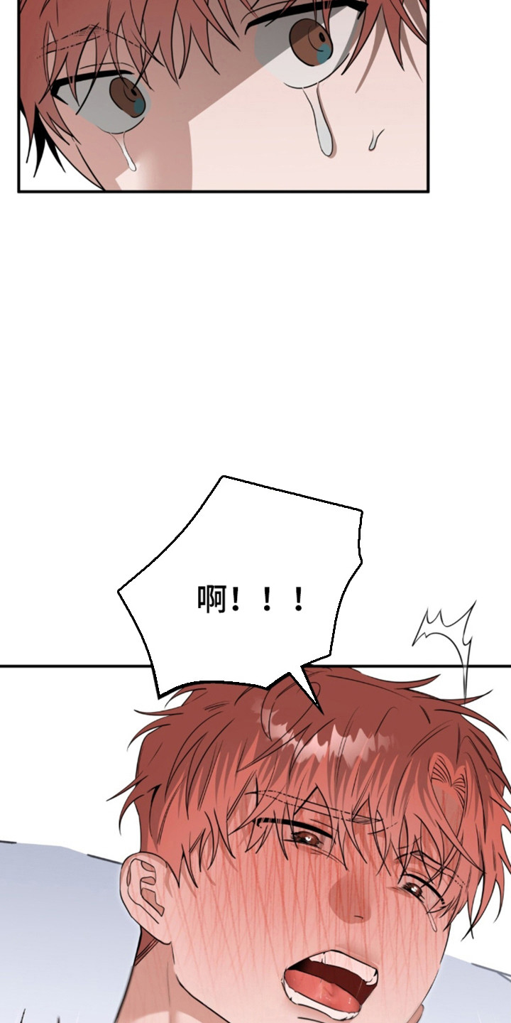 摘下星星送给你漫画,第138章：兴奋疯狂3图