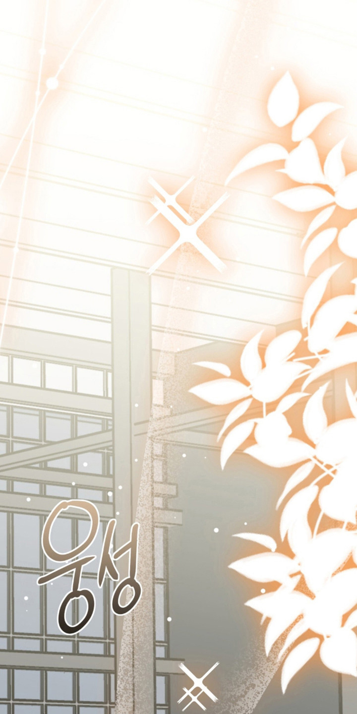 摘下星星送给你漫画,第139章：放下恩怨1图