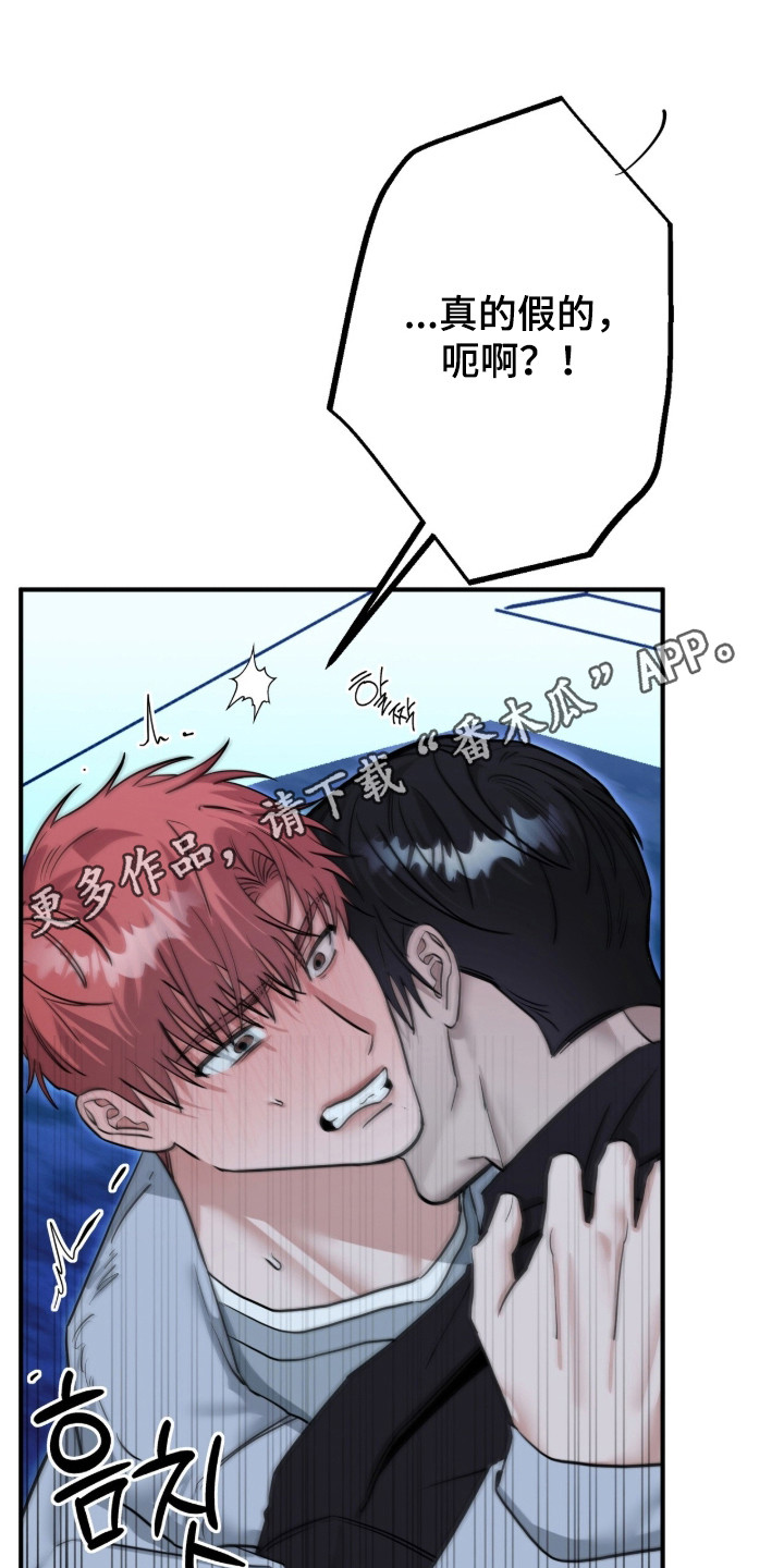 摘下星星送给你漫画,第135章：散步消热5图