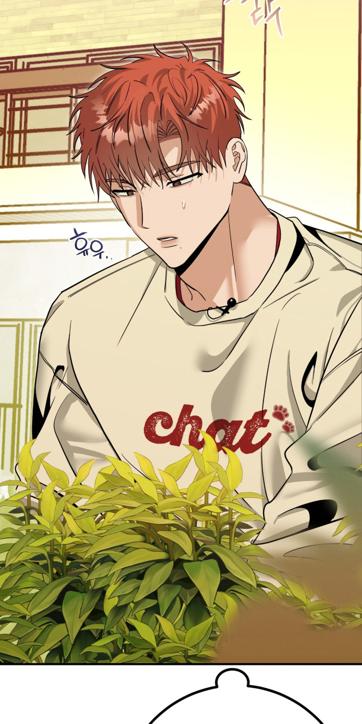 摘下星星送给你漫画,第132章：我不好4图
