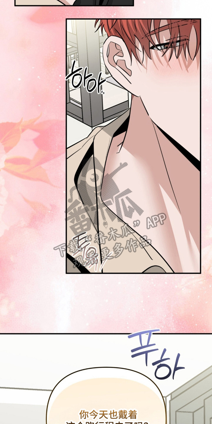 摘下星星送给你漫画,第136章：粉色稀奇5图