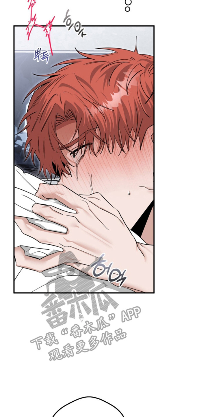 摘下星星送给你漫画,第138章：兴奋疯狂3图