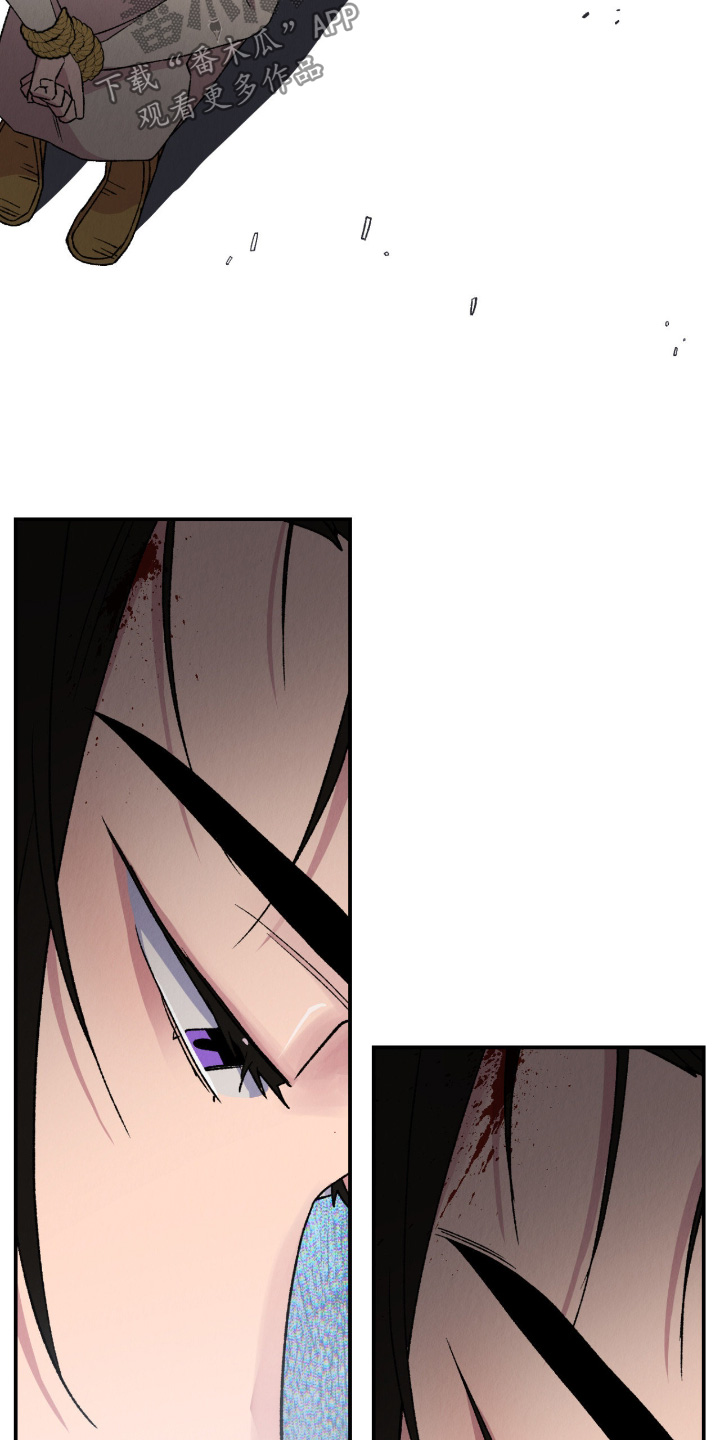 烙印之塔一日游在哪里漫画,第72章：处刑4图