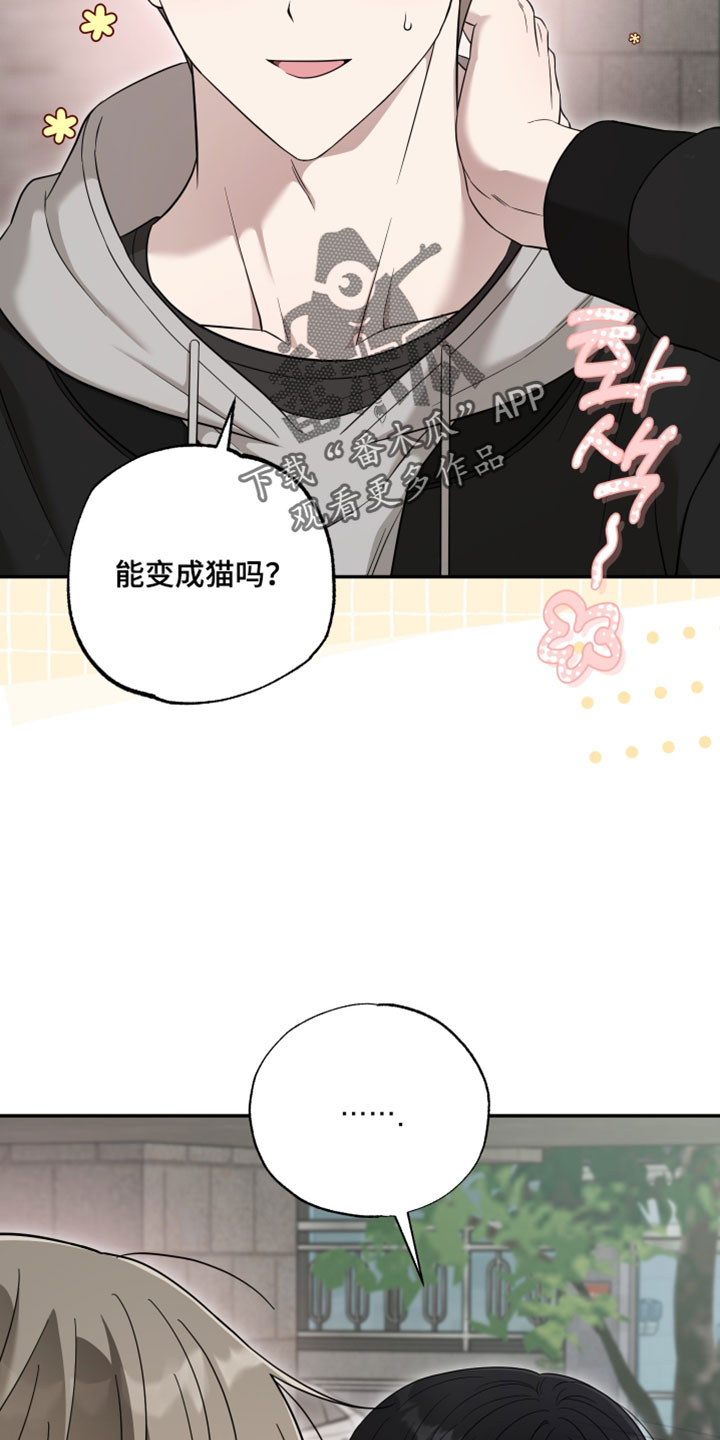 偶像剧霸道总裁电视剧漫画,第55章：【第二季】单纯奇怪的人4图