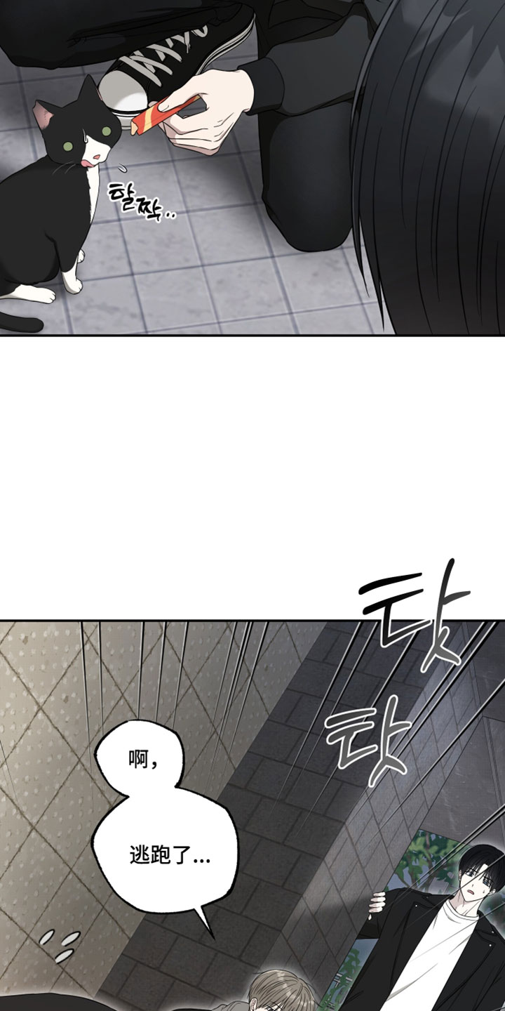 偶像剧霸道总裁电视剧漫画,第54章：【第二季】可以保密吗5图