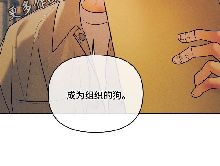 点燃的罪孽漫画,第73章：说实话4图