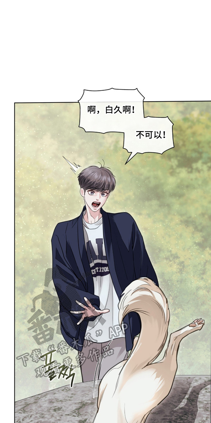 白夜赎罪漫画,第103章：普通聊天2图