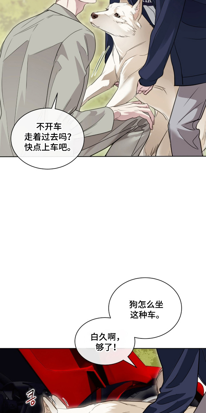 白夜赎罪漫画,第103章：普通聊天1图