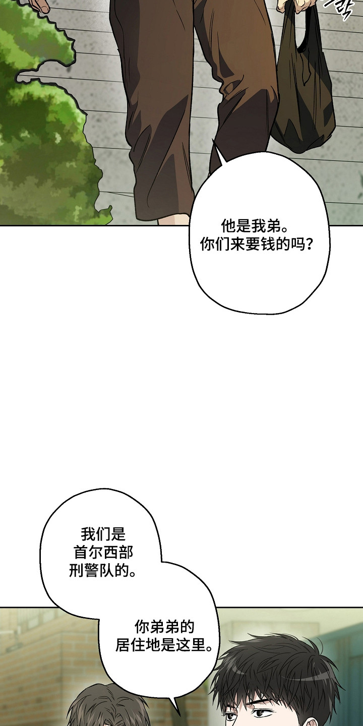 猛兽育儿书漫画,第79章：结婚新闻3图