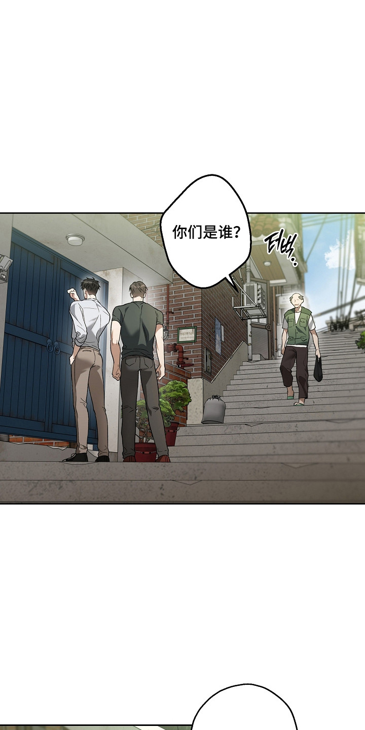 猛兽育儿书漫画,第79章：结婚新闻5图