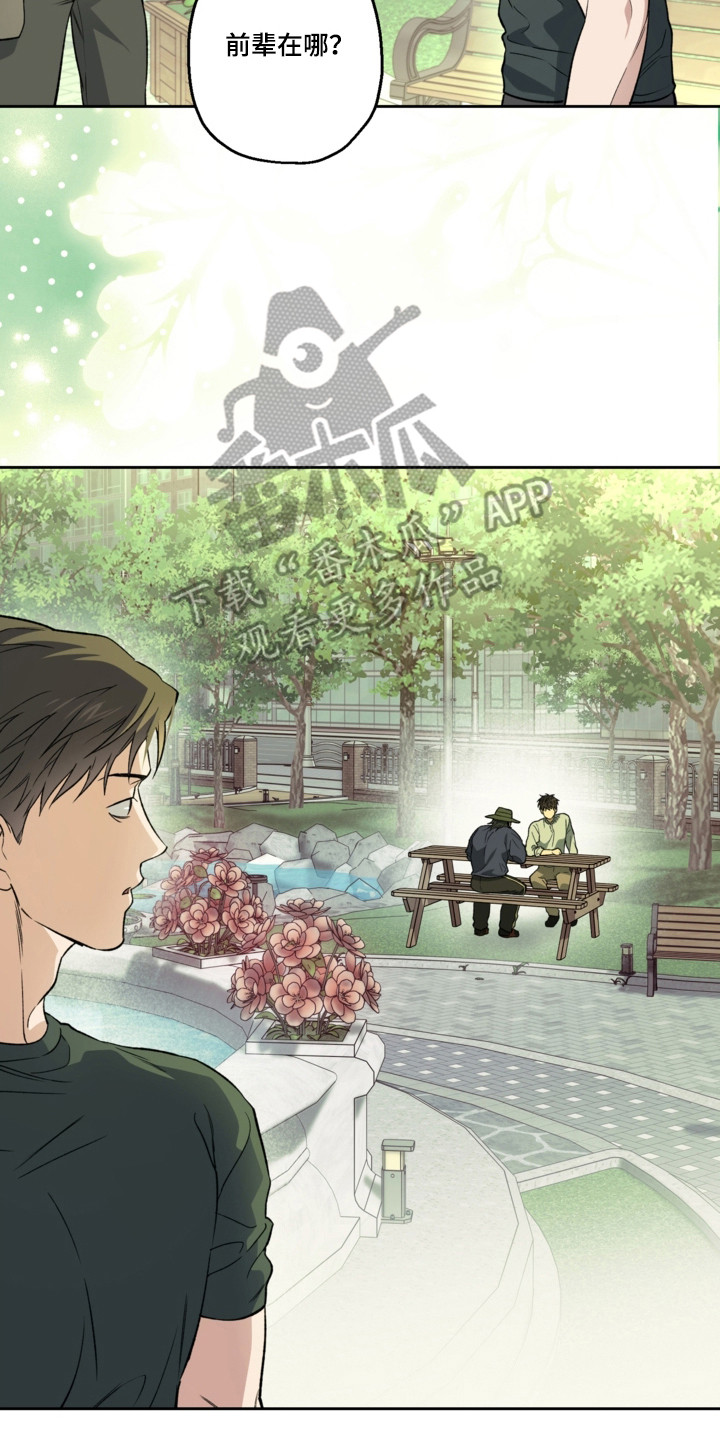 猛兽育儿书漫画,第81章：还挺可爱4图