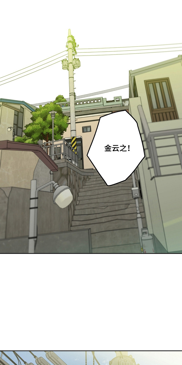 猛兽育儿书漫画,第79章：结婚新闻3图