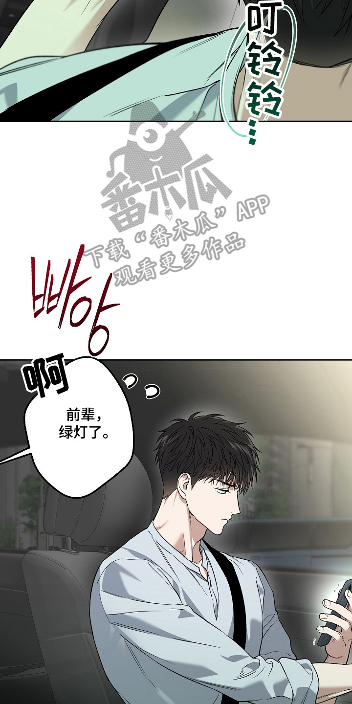 猛兽育儿书漫画,第79章：结婚新闻1图