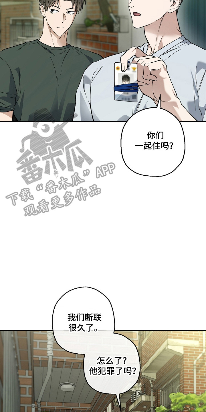 猛兽育儿书漫画,第79章：结婚新闻4图