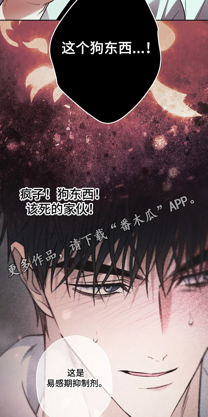 猛兽育儿书漫画,第79章：结婚新闻5图