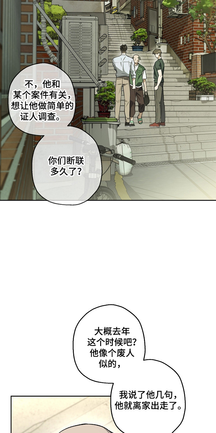 猛兽育儿书漫画,第79章：结婚新闻5图