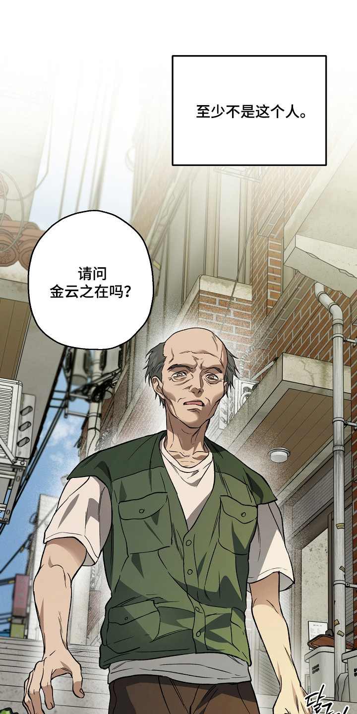 猛兽育儿书漫画,第79章：结婚新闻2图