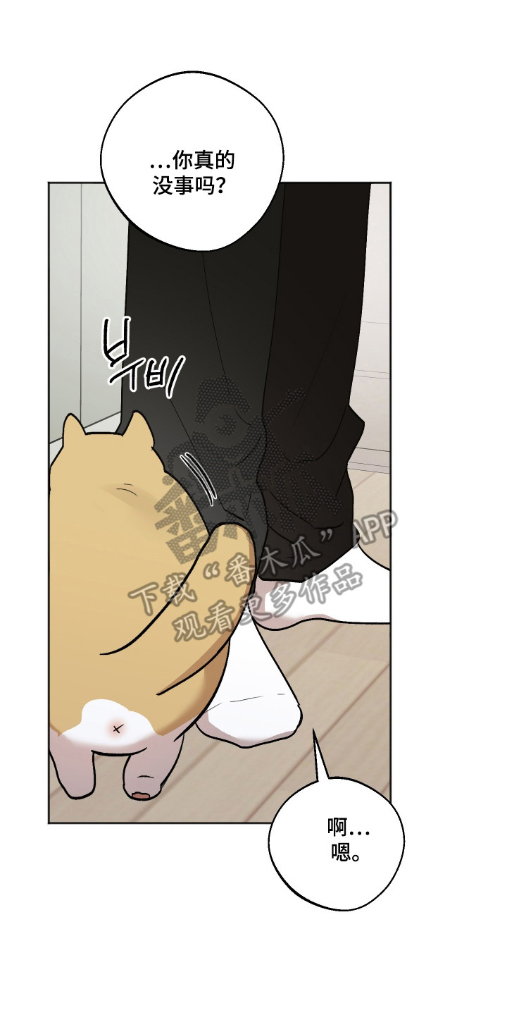 前世的祈愿漫画,第95章：【第二季】副作用3图