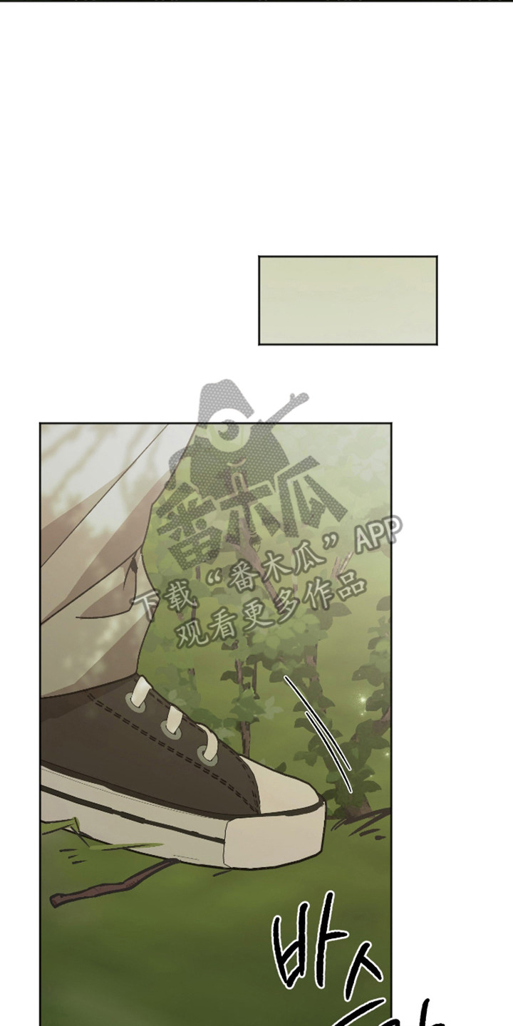 前世的祈愿漫画,第86章：【第二季】掉下悬崖3图