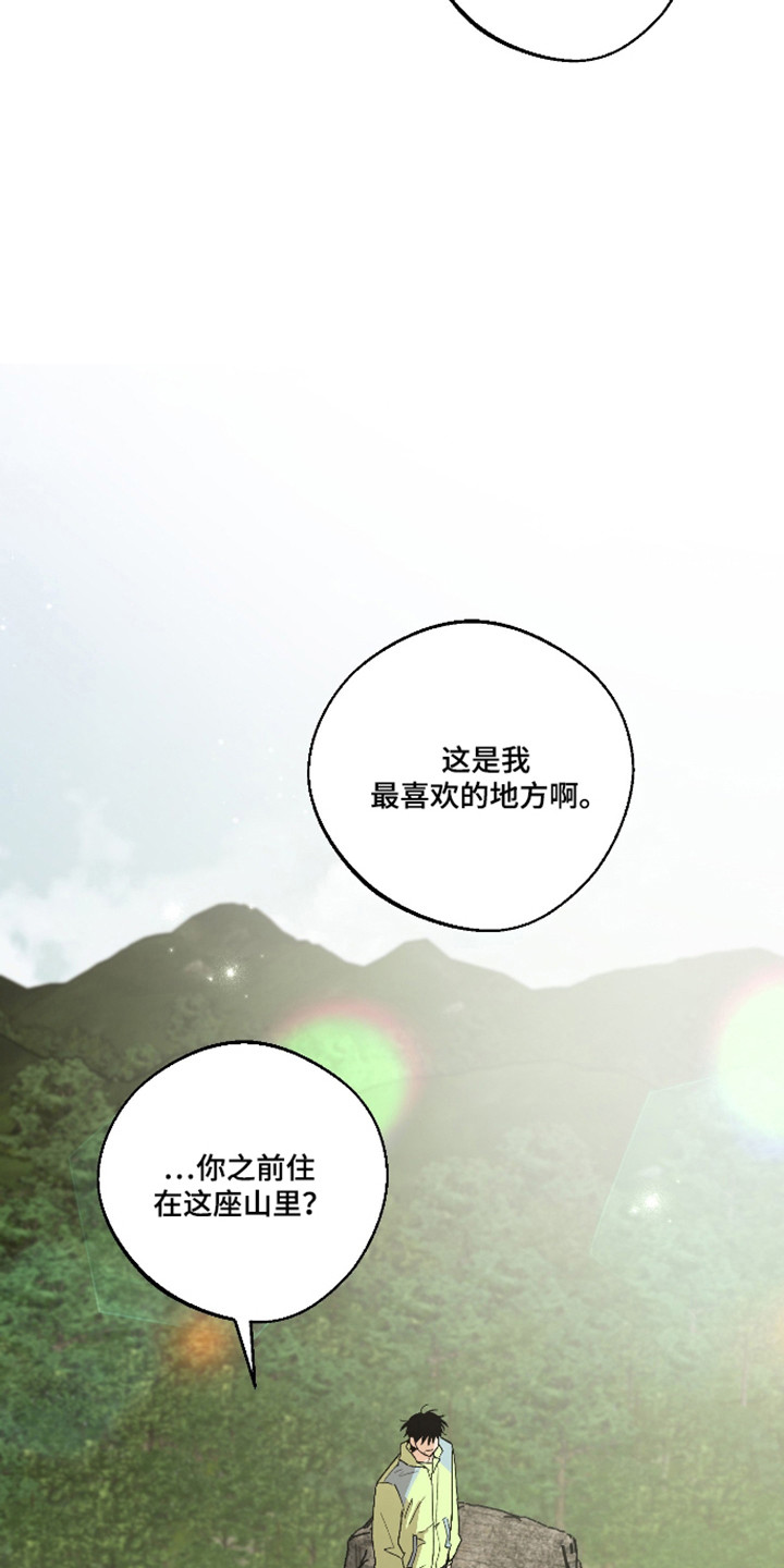前世的祈愿漫画,第86章：【第二季】掉下悬崖4图