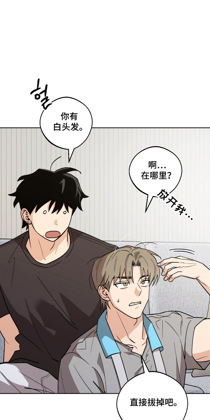 前世的祈愿漫画,第94章：【第二季】新的产品2图