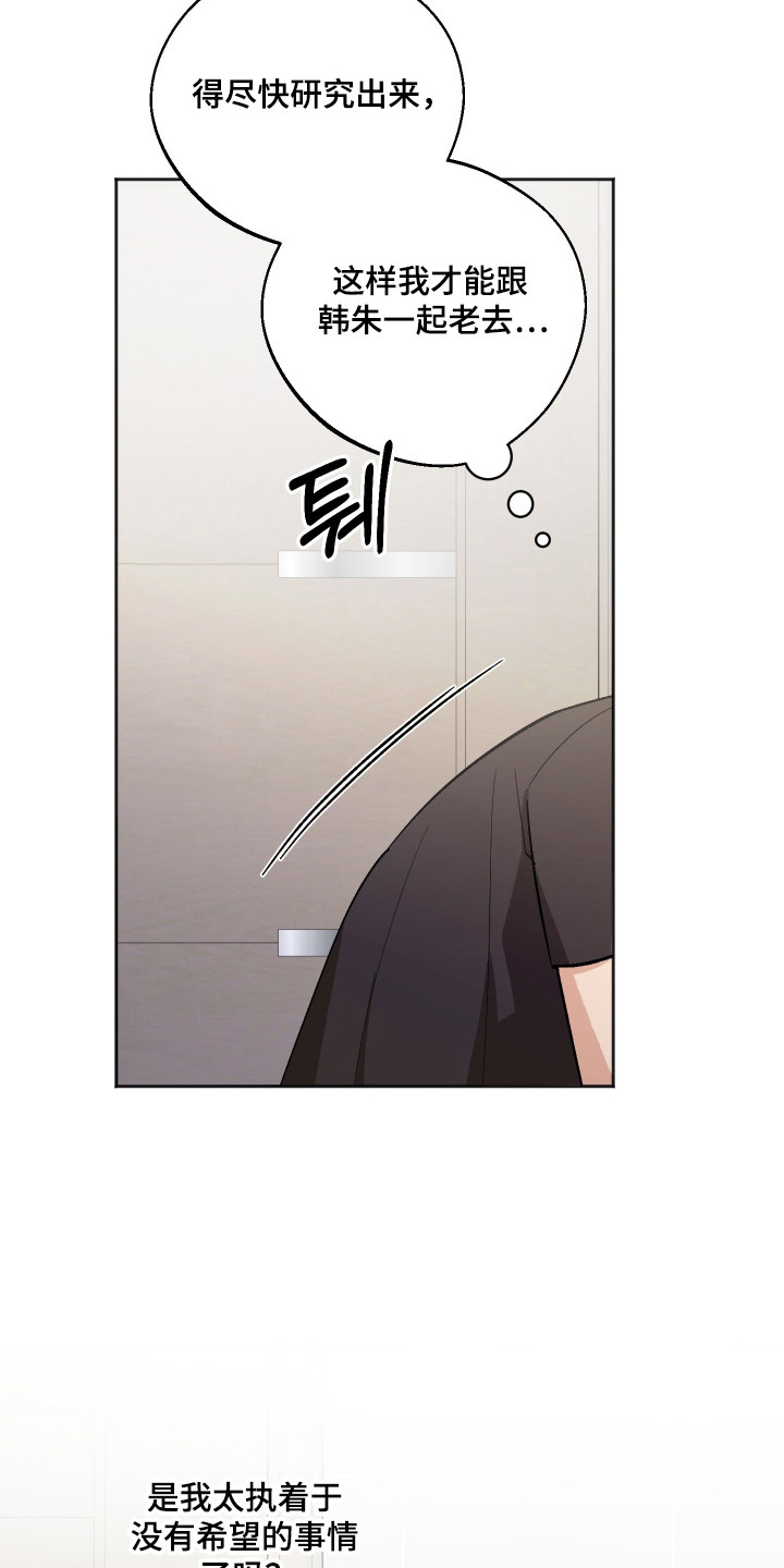 前世的祈愿漫画,第94章：【第二季】新的产品5图