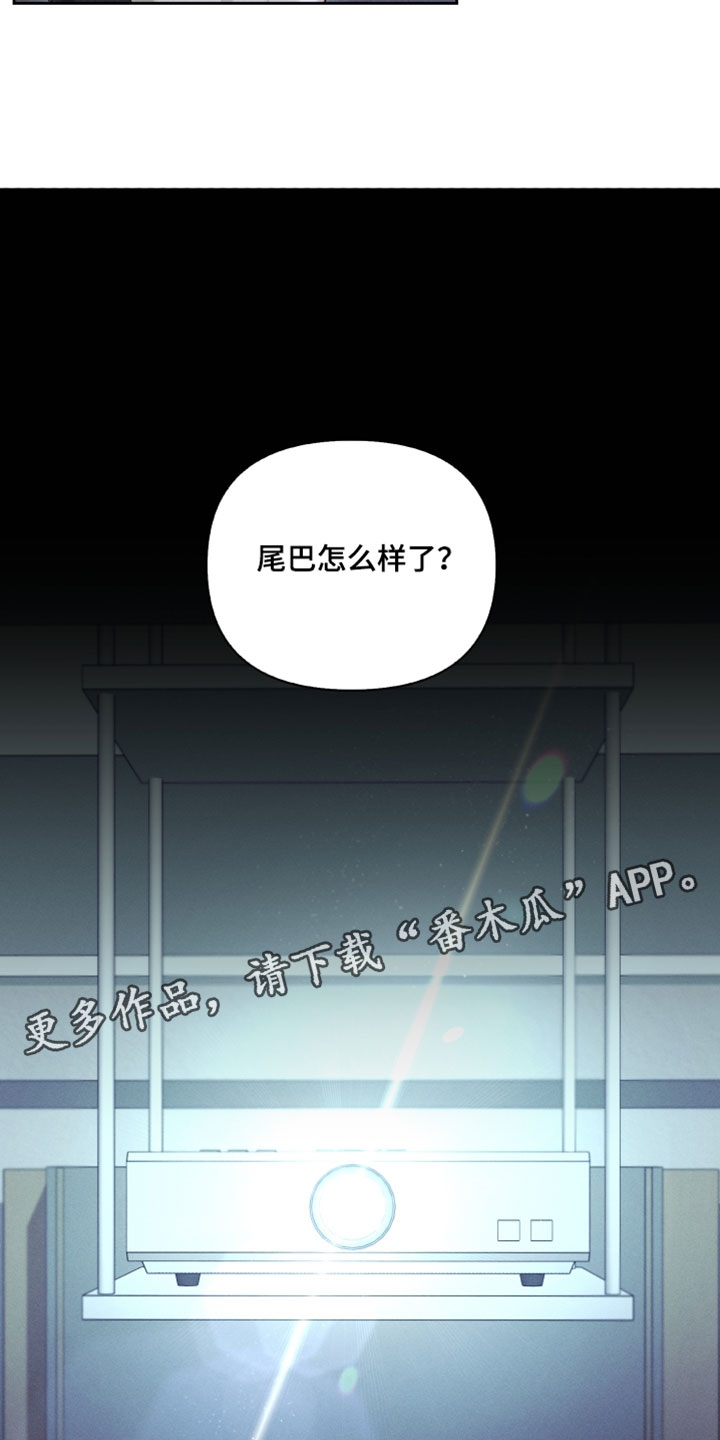 不驯之炎漫画,第85章：充满生命力1图