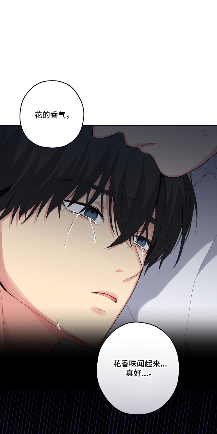 阴暗的幻觉漫画,第76章：【第二季】还不想死5图